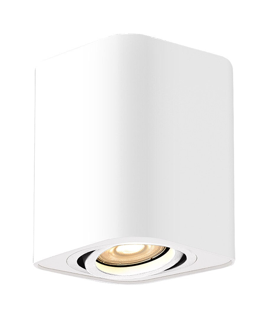 Spot aplicat reglabil Rabalux Kobald White 2050