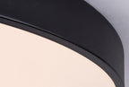Plafoniera Rabalux Tesia Mat Black 3316