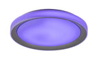 Plafoniera Rabalux Everest Silver 3510