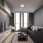Plafoniera Rabalux Everest Silver 3510