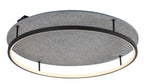 Plafoniera Rabalux Farenzo Black 71033