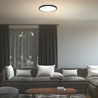 Plafoniera Rabalux Paulos Black 71074