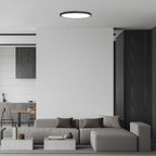 Plafoniera Rabalux Gonzalo Black 71097