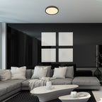 Plafoniera Rabalux Epora Mat Black 71118