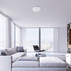 Plafoniera Rabalux Engon Silver 71129