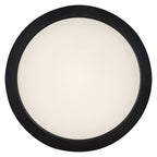 Plafoniera Rabalux Shaun2 Black 71200