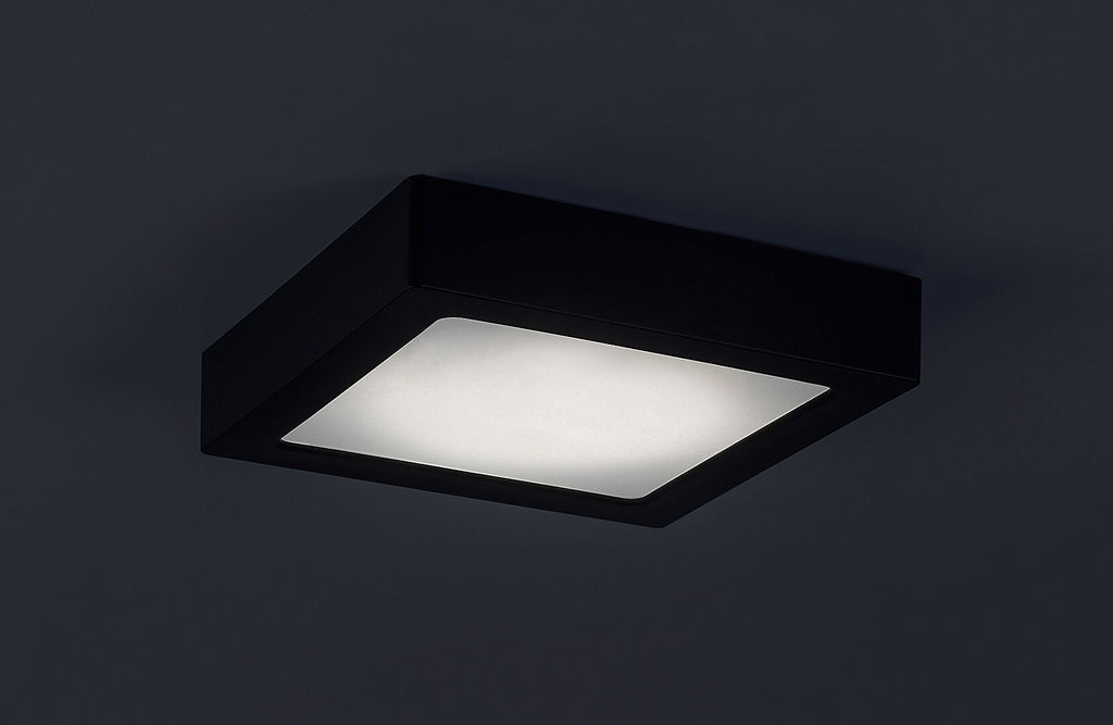 Plafoniera Rabalux Shaun2 Black 71202