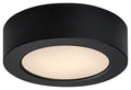 Plafoniera Rabalux Shaun2 Black 71210