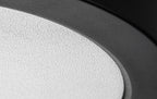 Plafoniera Rabalux Shaun2 Black 71211
