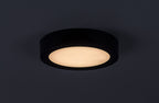 Plafoniera Rabalux Shaun2 Black 71211