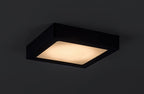 Plafoniera Rabalux Shaun2 Black 71214