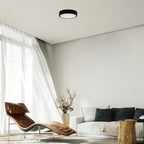 Plafoniera  Rabalux Lauri Black 71246
