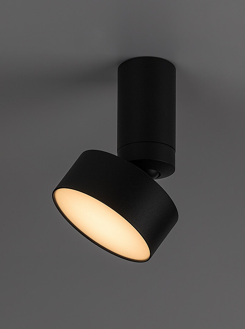 Spot aplicat reglabil Rabalux Ovidia Black 71321