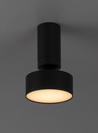 Spot aplicat reglabil Rabalux Ovidia Black 71321