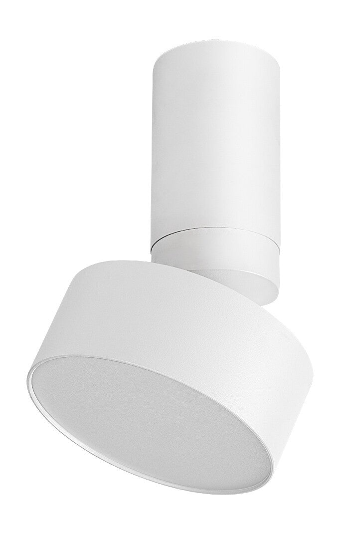 Spot aplicat reglabil Rabalux Ovidia White 71326