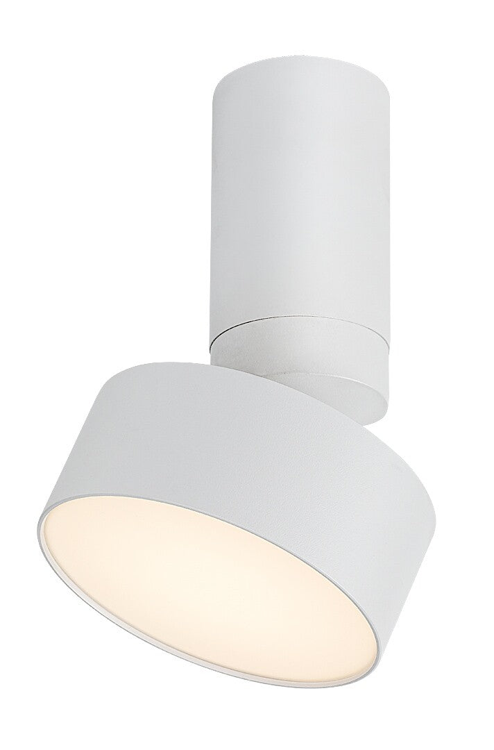 Spot aplicat reglabil Rabalux Ovidia White 71326