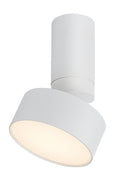 Spot aplicat reglabil Rabalux Ovidia White 71326