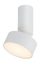 Spot aplicat reglabil Rabalux Ovidia White 71326