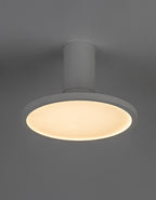 Spot aplicat reglabil Rabalux Ovidia White 71328