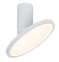 Spot aplicat reglabil Rabalux Ovidia White 71328