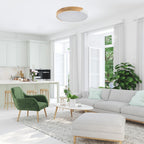 Plafoniera Rabalux Maple2 White 71419