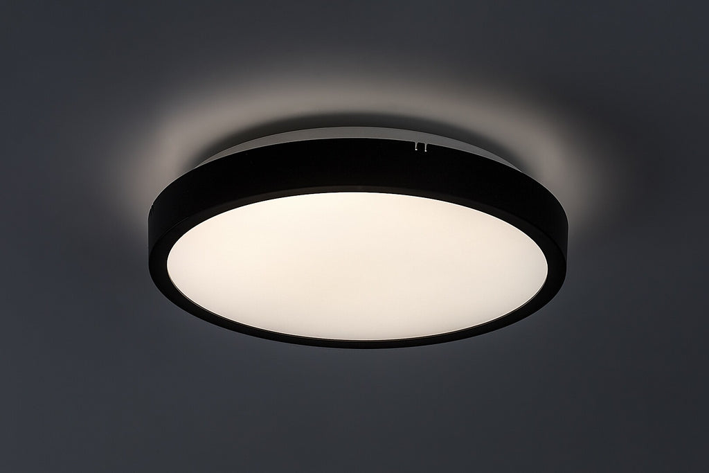 Plafoniera baie Rabalux Alenzo Black 71435