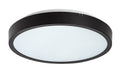 Plafoniera baie Rabalux Alenzo Black 71435