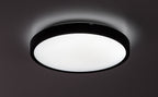 Plafoniera baie Rabalux Alenzo Black 71436