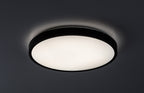 Plafoniera baie Rabalux Alenzo Black 71437