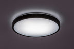 Plafoniera baie Rabalux Alenzo Black 71438