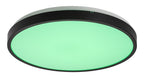 Plafoniera Rabalux Alenzo Black 71441