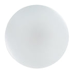 Plafoniera Rabalux Danny2 White 71443
