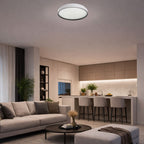 Plafoniera Rabalux Zerava Black 71449