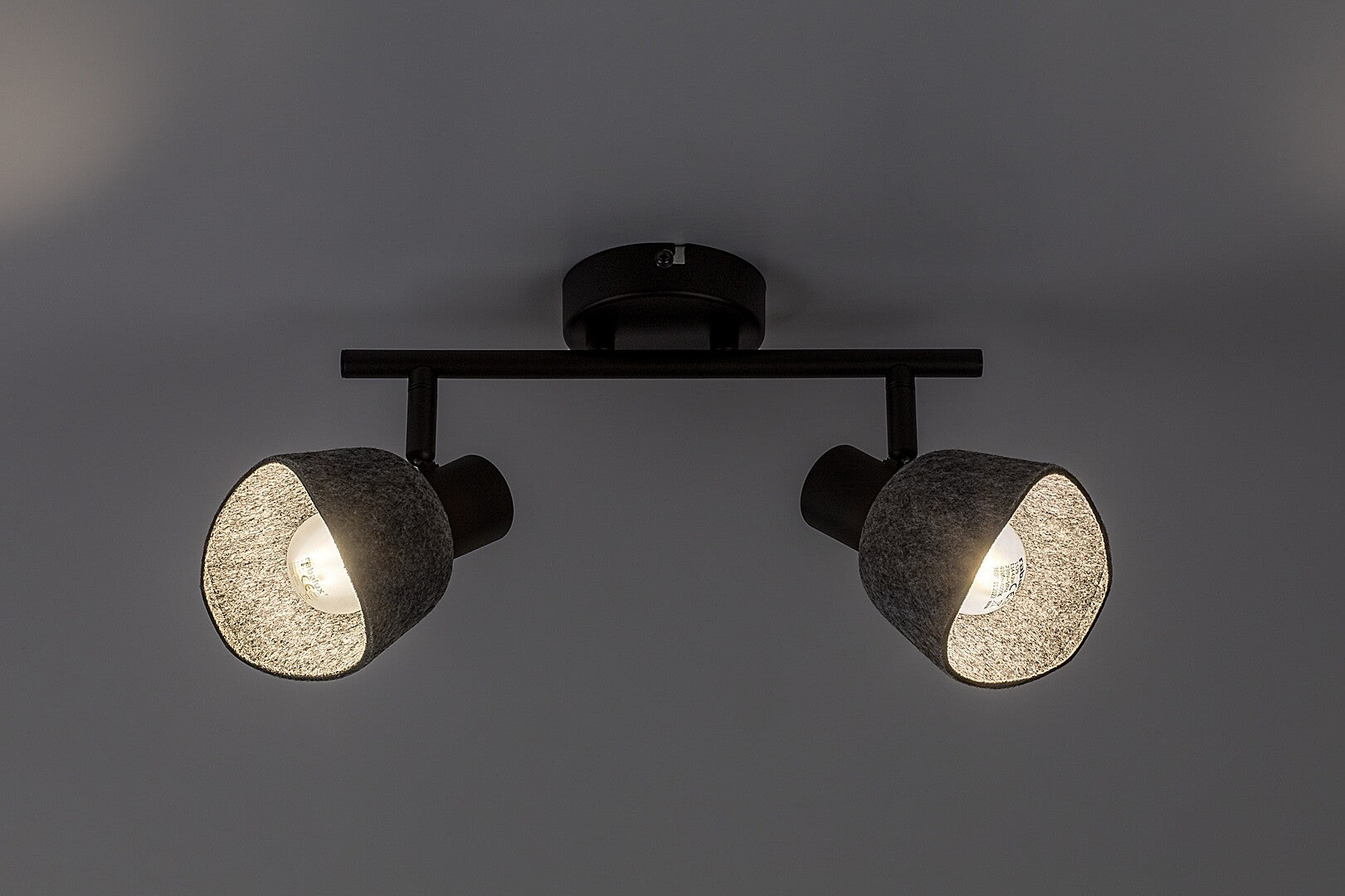 Plafoniera Rabalux Farelia Black 73006
