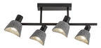 Plafoniera Rabalux Farelia Black 73010