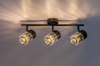 Plafoniera Rabalux Venaro Black 73061