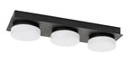 Plafoniera baie Rabalux Attichus Mat Black 75003