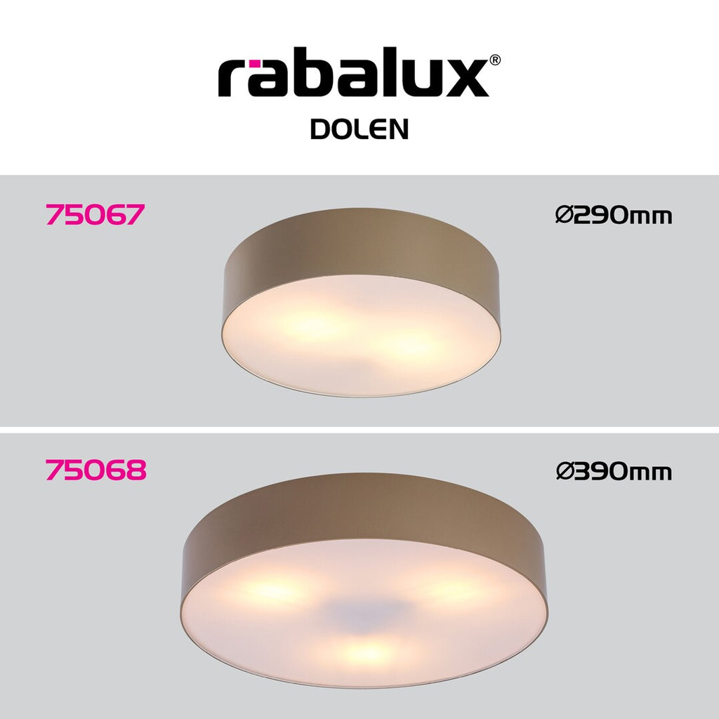 Plafoniera exterior Rabalux Dolen Gray Beige 75067