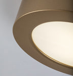 Plafoniera baie Rabalux Shaun Plus Gold 75077