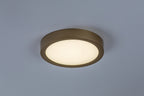 Plafoniera baie Rabalux Shaun Plus Gold 75078