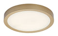 Plafoniera baie Rabalux Shaun Plus Gold 75079