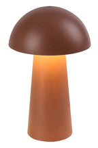 Veioza reincarcabila Rabalux Mireo Brown 76039