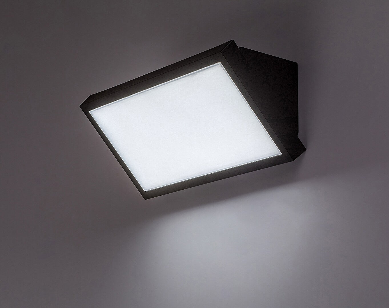 Aplica exterior Rabalux Rapla2 Black 77150