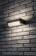 Aplica exterior Rabalux Cubbington Black 77185
