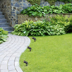 Proiector exterior fatade/plante Rabalux Krobia Black 7814