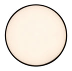 Plafoniera baie Rabalux Tartu Mat Black 7897