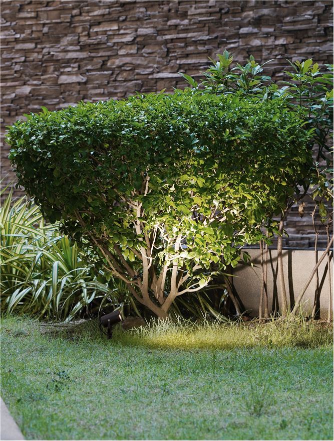 Proiector exterior fatade/plante Nova Luce KIMIKO 9026127