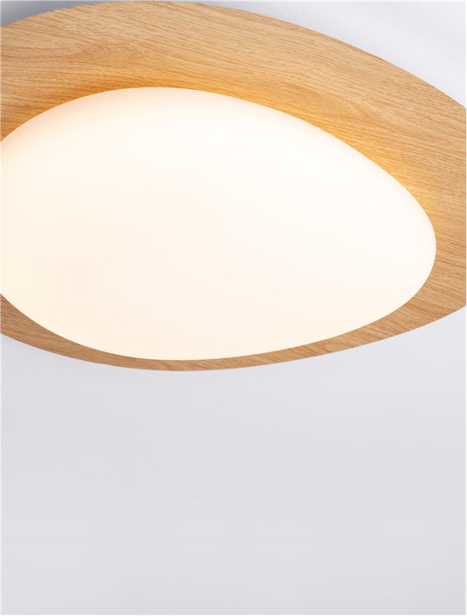 Plafoniera Nova Luce NIMBUS 9030648