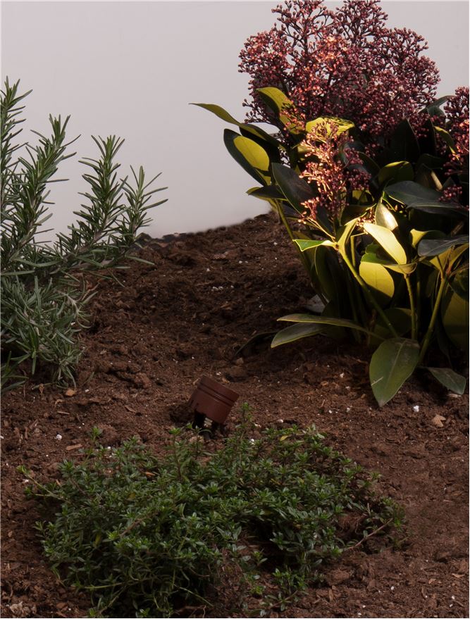 Proiector exterior fatade/plante Nova Luce SENTO 9050733