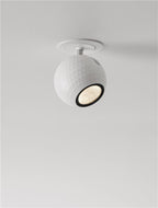 Spot incastrat reglabil Nova Luce NOTIC 9088182